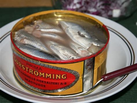 the smelliest fish in the world|Swedish Surströmming – Everything You Need To Know